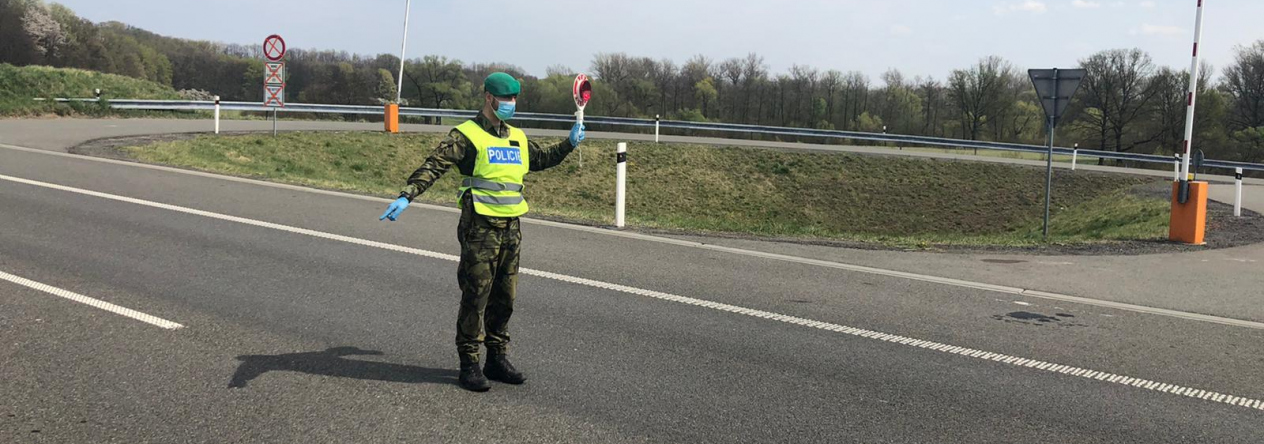 vojaci_plni_ukoly_spolecne_s_policii_ceske_republiky.jpg