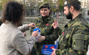 Sbírka ke Dni válečných veteránů