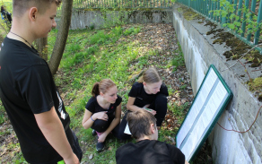 vědomostní test o operaci Wolfram